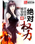 《绝对权力》作者:不信天上掉馅饼