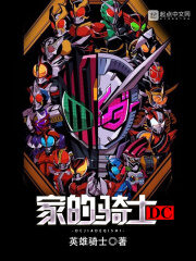 《DC家的骑士》作者:英雄骑士