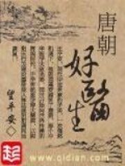《唐朝好医生》作者:望平安