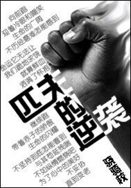 《匹夫的逆袭》作者:骁骑校