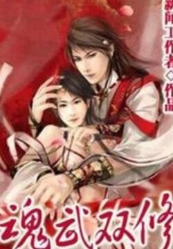 《魂武双修》作者:新闻工作者