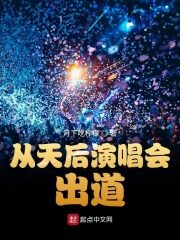 《从天后演唱会出道》作者:月下吃柠檬