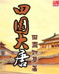 《田园大唐》作者:田园如梦
