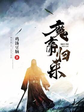《魔帝归来》作者：鸡汤豆脑