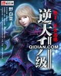 《逆天升级》作者:野白菜