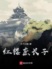 《红楼庶长子》作者:天下白兔
