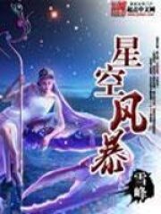 《星空风暴》作者:雪峰