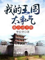 《我的王国太争气,能自动升级》作者:华长空