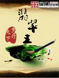 《翡翠王》作者:步行天下