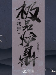 《我是极品炉鼎》作者:正月初四