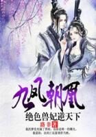 《九凤朝凰:绝色兽妃逆天下》作者:路非