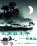《大宋私生子》作者:何昊远