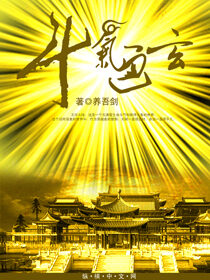 《斗气通玄》作者:养吾剑