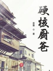 《硬核厨爸》作者:旁墨