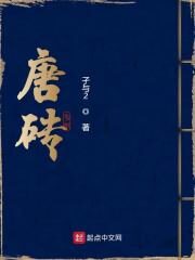 《唐砖》作者:孑与2