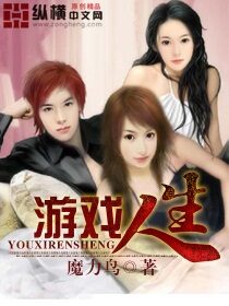 《游戏人生》作者:魔力鸟