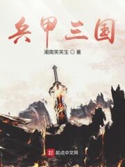 《兵甲三国》作者:湘南笑笑生
