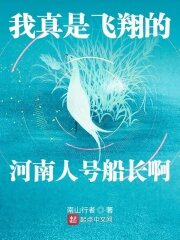 《我真是飞翔的河南人号船长啊》作者:南山行者
