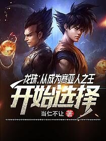 《龙珠:从成为赛亚人之王开始选择》作者:当仁不让