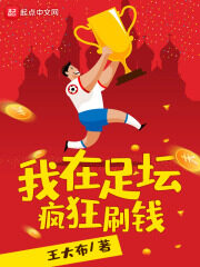 《我在足坛疯狂刷钱》作者:王大布