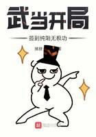 《武当开局签到纯阳无极功》作者:猪肝土豆