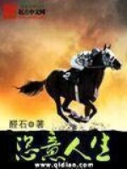 《恣意人生》作者:醛石