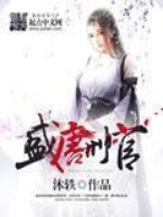 《盛唐刑官》作者:沐轶