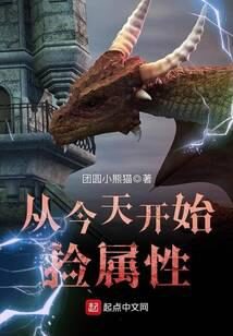 《从今天开始捡属性》作者:团圆小熊猫