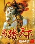 《马踏天下》作者:枪手一号