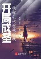 《开局成圣:我能召唤第四天灾》作者:大胆妖道