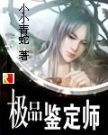 《极品鉴定师》作者:小小青蛇