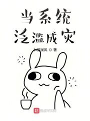 《当系统泛滥成灾》作者:木羽澜风