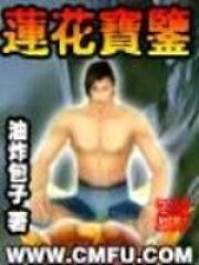 《莲花宝鉴》作者:油炸包子