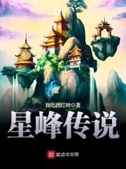 《星峰传说》作者:我吃西红柿