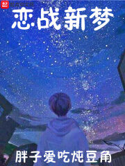 《恋战新梦》作者:胖子爱吃炖豆角
