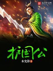 《护国公》作者:木允锋