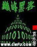《巅峰黑客》作者:莫水