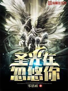 《圣光在忽悠你》作者:零思雨