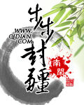 《步步封疆》作者:南闲