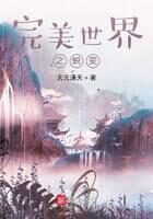 《完美世界之蜕变》作者:玄元通天