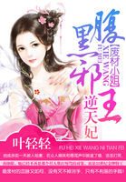 《废材小姐：腹黑邪王逆天妃》作者：叶轻轻