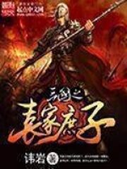 《三国之袁家庶子》作者:讳岩
