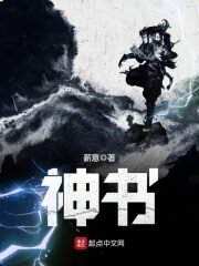 《神书》作者:薪意