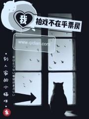 《我拍戏不在乎票房》作者:别人家的小猫咪