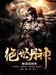 《绝世丹神》作者:一颗葡萄树