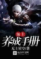 《领主养成手册》作者:无上星空
