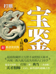 《宝鉴》作者:打眼