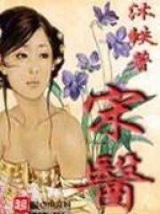 《宋医》作者:沐轶