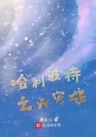 《哈利波特之大灾难》作者:禺名
