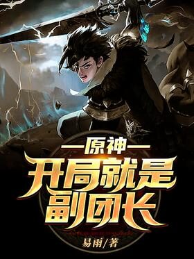 《原神:开局就是副团长》作者:易雨